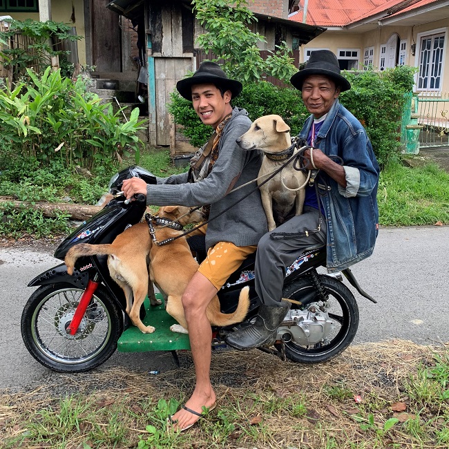 Photo essay: Minangkabau pig hunting